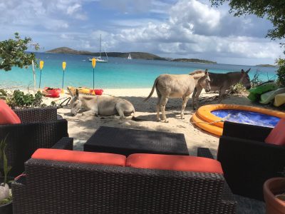 a group of people sitting at a beach